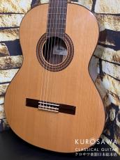 Paco Castillo パコ・カスティージョ 203C 杉・ローズウッド【日本総本店2F在庫品】_2