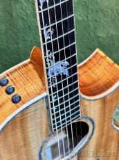 Taylor 【Hand Selected】BTO Custom GC Tropical Vine -2pc AA Grade Hawaiian Koa- #1206105023_3