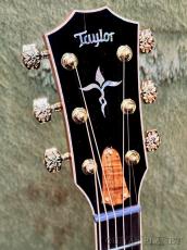 Taylor 【Hand Selected】BTO Custom GC Tropical Vine -2pc AA Grade Hawaiian Koa- #1206105023_4