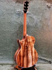 Taylor 【Hand Selected】BTO Custom GC Tropical Vine -2pc AA Grade Hawaiian Koa- #1206105023_7