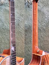 Taylor 【Hand Selected】BTO Custom GC Tropical Vine -2pc AA Grade Hawaiian Koa- #1206105023_8