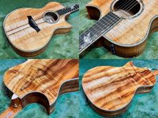Taylor 【Hand Selected】BTO Custom GC Tropical Vine -2pc AA Grade Hawaiian Koa- #1206105023_10