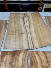 Taylor 【Hand Selected】BTO Custom GC Tropical Vine -2pc AA Grade Hawaiian Koa- #1206105023_13