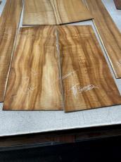 Taylor 【Hand Selected】BTO Custom GC Tropical Vine -2pc AA Grade Hawaiian Koa- #1206105023_14