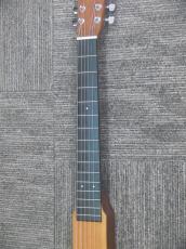 Martin Backpacker Steel_7