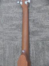 Martin Backpacker Steel_8