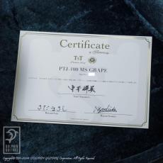 T’sT Premium Terry PTJ-100 MS GRAPE_15