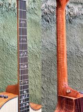 Taylor 【Hand Selected】BTO Custom GACE #13035-Figured Indian Rosewood×Premium Adirondack Spruce-_8