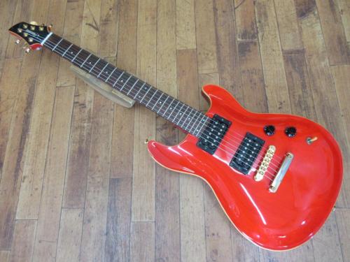 FERNANDES APG-100