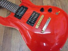 FERNANDES APG-100_2