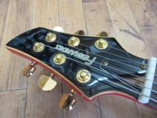 FERNANDES APG-100_5