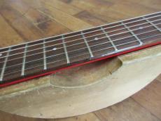 FERNANDES APG-100_6