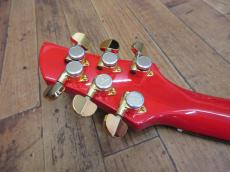 FERNANDES APG-100_9