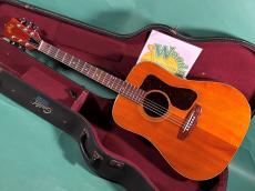 Guild D-25M