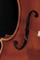 Roderich Paesold 【バイオリンセット】 PA803J Artista "Guarneri Style" 【ペゾルト】 【池袋店】_5