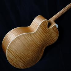 Gibson EC-30 BKE_4