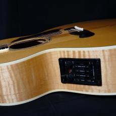 Gibson EC-30 BKE_6