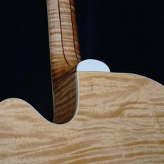 Gibson EC-30 BKE_7