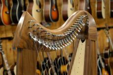 Stoney End  Brittany-22 "Walnut" with Full Lever Harp #9423_2