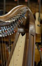 Stoney End  Brittany-22 "Walnut" with Full Lever Harp #9423_3