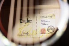 Taylor 【木材選定 / ファクトリーオーダー】CTM GA Sinkaer Redwood × Flame Maple_10