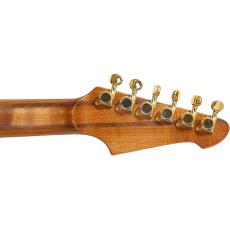 Balaguer Guitars Thicket TM MGBST / Travis Miguel Signature Model_5