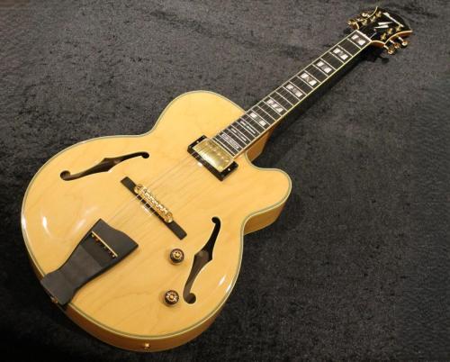 Ibanez PM200 / パットメセニー シグネチャーモデル