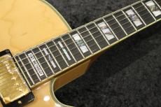 Ibanez PM200 / パットメセニー シグネチャーモデル_4