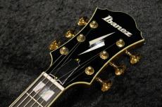 Ibanez PM200 / パットメセニー シグネチャーモデル_6