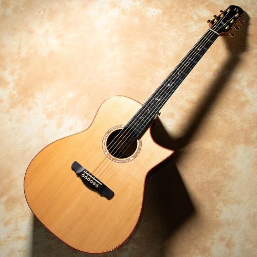 NATASHA JC-7A w/L.R.Baggs HiFi