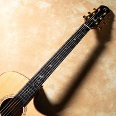 NATASHA JC-7A w/L.R.Baggs HiFi_3