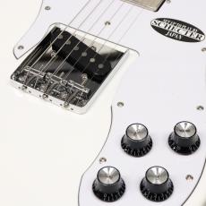 SCHECTER OL-PT-CTM/WHT/R_5