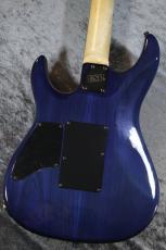E-II SN-2/Blue Natural Fade #ES2212243【3.99kg】【美しいバールドメイプルトップ!】_8