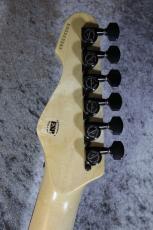 E-II SN-2/Blue Natural Fade #ES2212243【3.99kg】【美しいバールドメイプルトップ!】_10