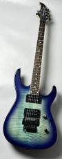 Chatting Bird 【USED】CDE-HH 2010年代前後製【3.20KG】_3
