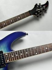 Chatting Bird 【USED】CDE-HH 2010年代前後製【3.20KG】_9