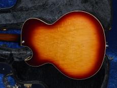 Archtop Tribute AT101_3