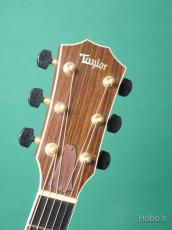 Taylor 810 w/L.R.Baggs RT SYSTEM-2_3