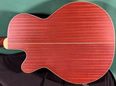 Takamine PTU-531C VBS_3