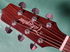 Takamine PTU-531C VBS_5