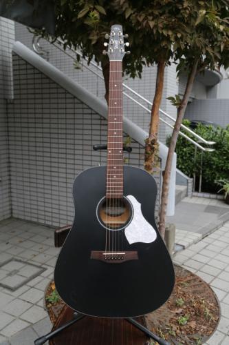 Seagull(Canada) S6 Classic Black