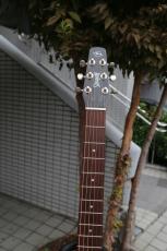 Seagull(Canada) S6 Classic Black_3