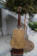 Seagull(Canada) S6 Classic Black_4