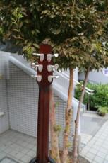 Seagull(Canada) S6 Classic Black_5