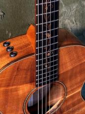 Taylor 【2013年製USED】K22e -Expression System 1- 【48回迄金利0%対象】【送料当社負担】_3