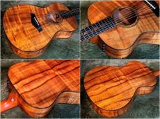 Taylor 【2013年製USED】K22e -Expression System 1- 【48回迄金利0%対象】【送料当社負担】_12