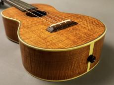 Collings UC2K Concert【USED/2009年】_10