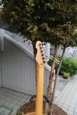 ESP SNAPPER-AS　Driftwood Burner Satin_5