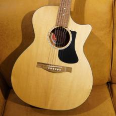 Eastman PCH-GACE