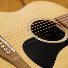 Eastman PCH-GACE_3
